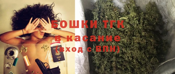 тгк Аркадак