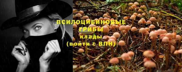 прущие крисы Арсеньев