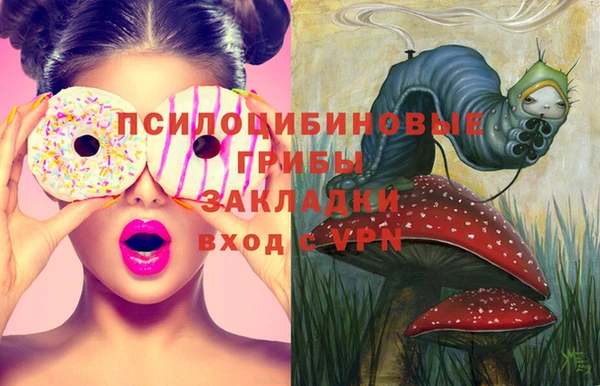 тгк Аркадак