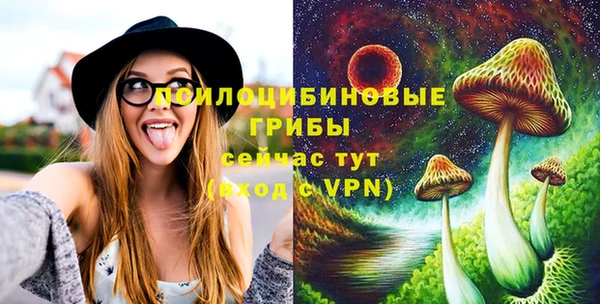 тгк Аркадак