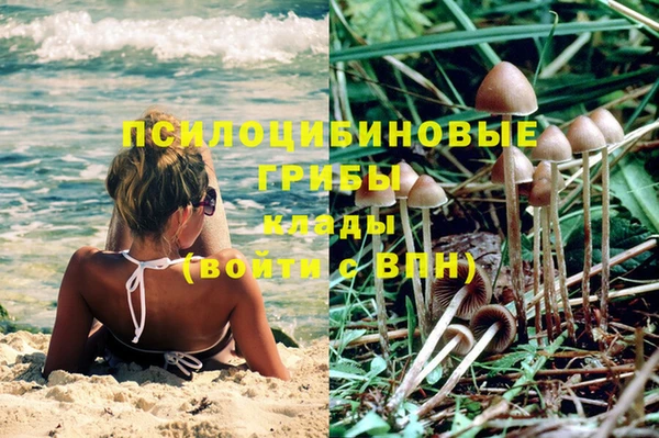 прущие крисы Арсеньев